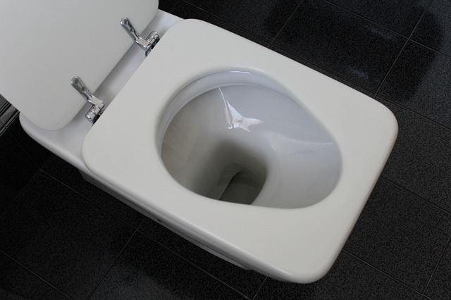 wc mísa